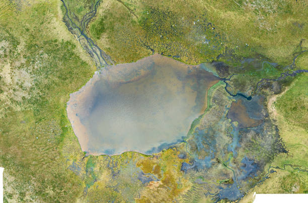 3D Render of a Satellite Topographic Map of Kosovo, Southeast Europe.All source data is in the public domain.Color and Water texture: Contains modified Copernicus Sentinel data (2021) courtesy of ESA.URL of source image: https://dataspace.copernicus.eu/explore-data/data-collections/sentinel-data/sentinel-2Relief texture: SRTM data courtesy of NASA JPL (2020). URL of source image:https://lpdaac.usgs.gov/products/srtmgl1v003/