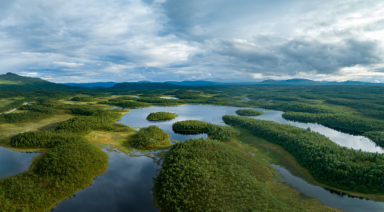 Green forest and blue lakes landscape in the region of Jamtland Harjedalen, Sweden. Seen at sunset in the summer.