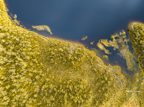 An alpine shoreline full of trees seen from above and surrounded by blue water. Seen in the village of Funasdalen, Harjedalen, Sweden.