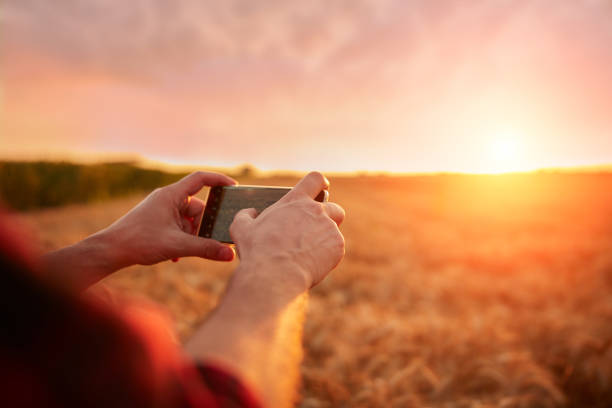 istock Man using cellphone in a wheat field. Shallow focus. 1569622335