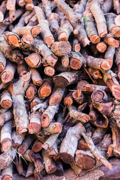 istock firewood in countryside asia 1569628373
