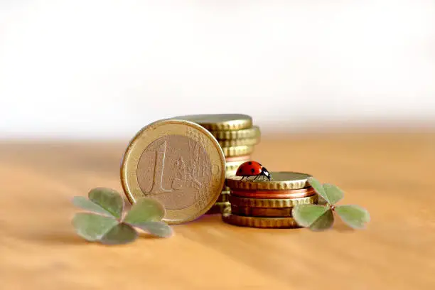 a ladybug on a pile of money euro coins symbolizing luck in competition or lottery
