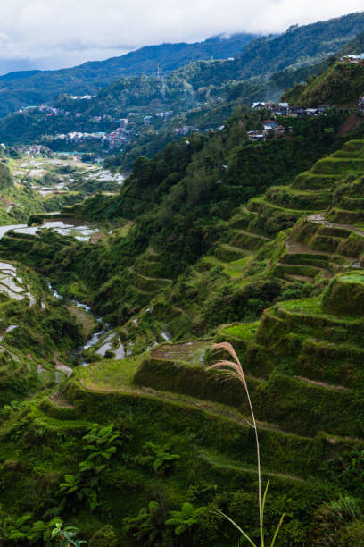 istock Rice Terraces in Banaue in Cordillera, Philippines 1569638587