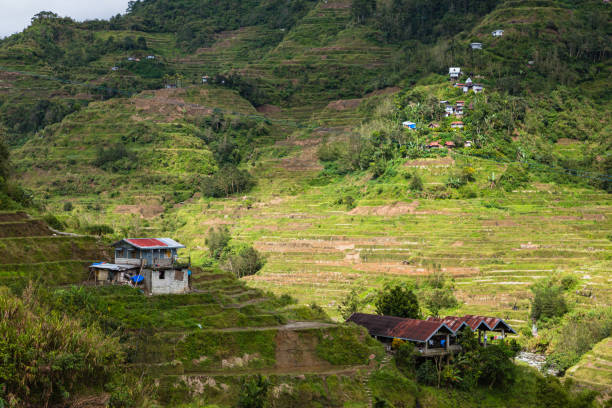 istock Scenery of Banaue, Philippines 1569679534