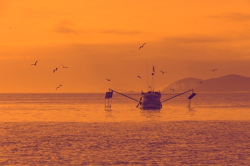 Shrimp fishing. Fishing boat in the open sea. Hungry birds flying over the boat at sunset.