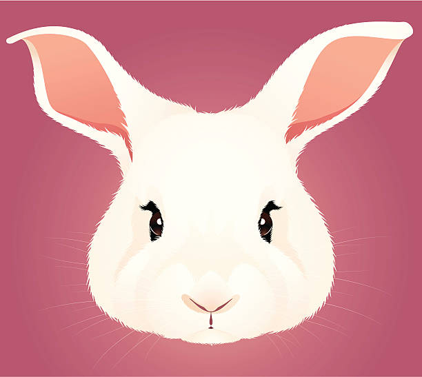 Rabbit Head vector art illustration