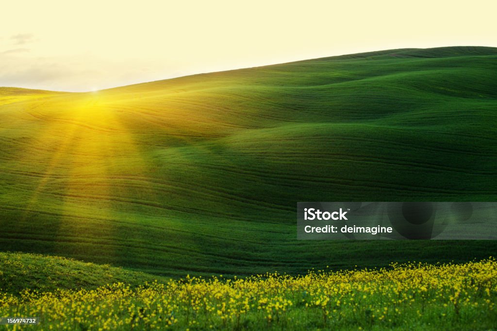 Majestoso pôr do sol sobre as montanhas de primavera - Foto de stock de Gramado - Terra cultivada royalty-free