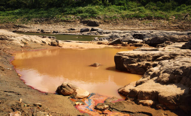 istock River bank with mud and water 1569750476