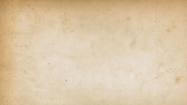 istock Paper texture cardboard background close-up. 1569751045