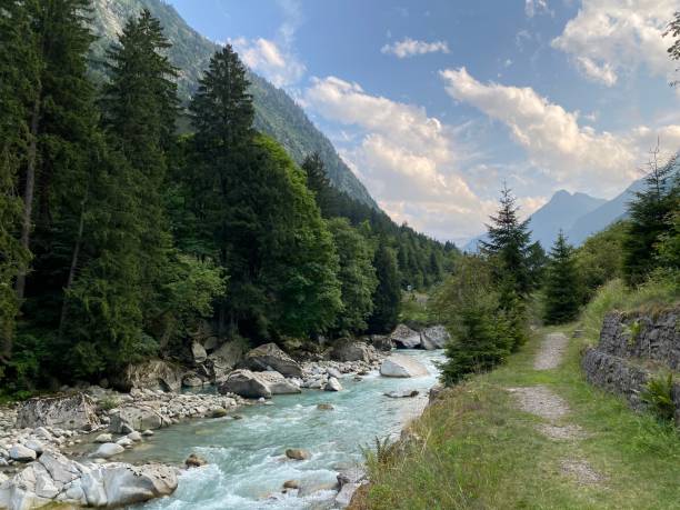 istock Mountain river Reuss in Switzerland 1569759652
