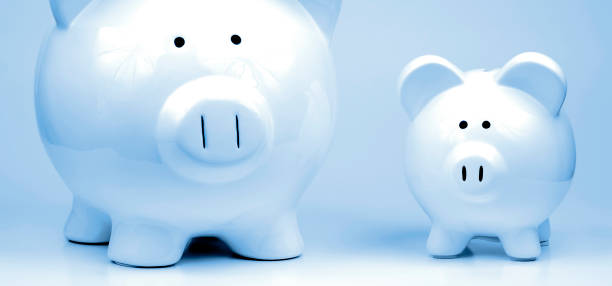 istock Two Piggy Banks with Emphasis on Small Bank 1569769376