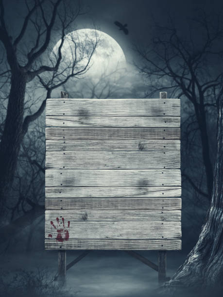 istock Old wooden sign in the forest 1569770920