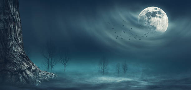 istock Scary night scene with full moon background 1569775505