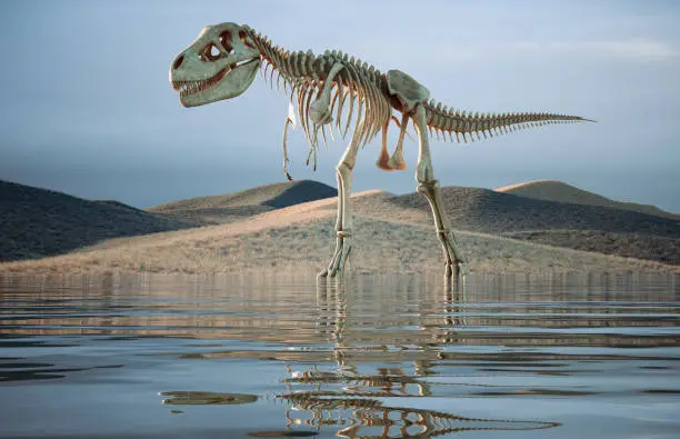 Photo of The skeleton of a dinosaur in nature.