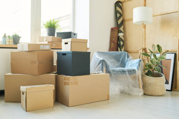 istock Stacks of large boxes standing against windowsill with flowerpots 1569791924