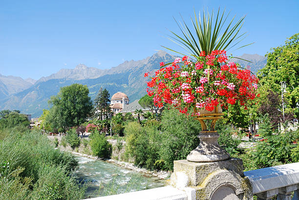 istock Flowers in Meran 156979412
