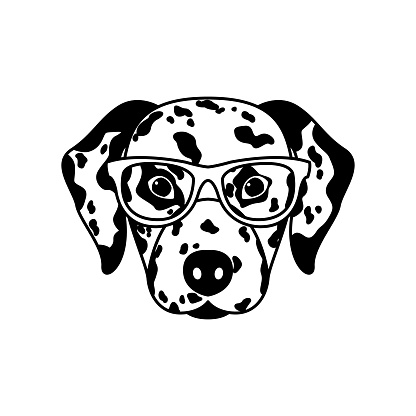 Portrait of Dalmatian dog with glasses, black and white flat style. Vector illustration of Hipster dog.