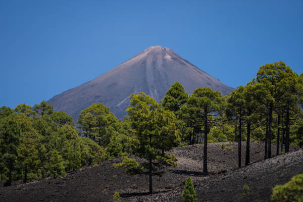 istock Teide volcano peak in Tenerife, Canary Islands 1569808278