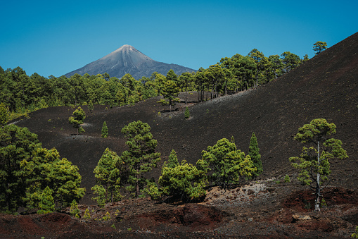 Teide national park of Tenerife, Canary Islands: Reserva natural especial del Chinyero
