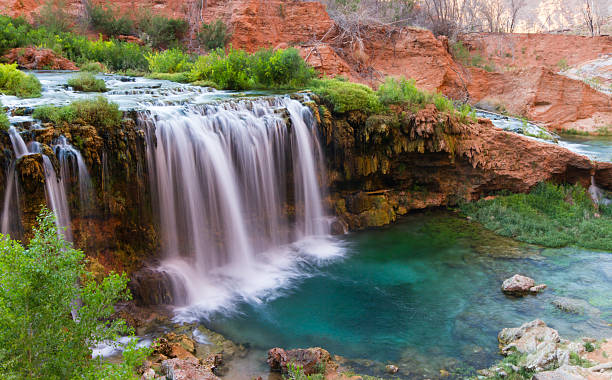 Water of life Beautiful waterfalls flowing in the desert heat providing life to the lush vegetation in the Grand Canyon near Havasu havasu falls stock pictures, royalty-free photos & images