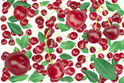 Background of fresh ripe cherries flying randomly with leaves on a white background.