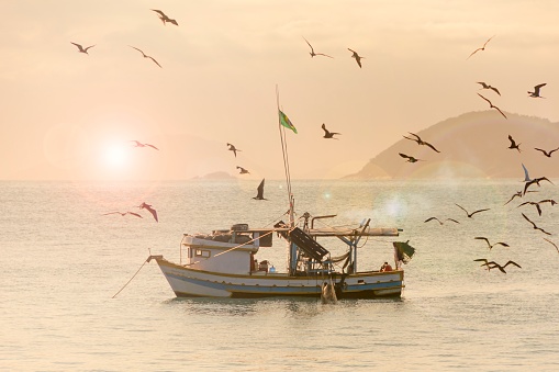 Shrimp fishing. Fishing boat in the open sea. Hungry birds flying over the boat at sunset.