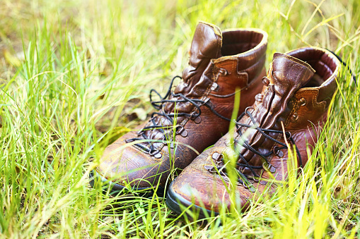 Pair of leather hiking boots amid vegetation.