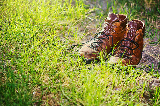 Pair of leather hiking boots amid vegetation.