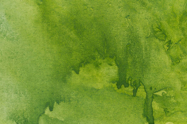 istock green painted watercolor background texture 1569895067