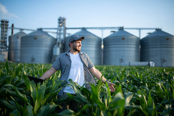 istock Farmer enjoying the growth of his corn crops. 1569903632