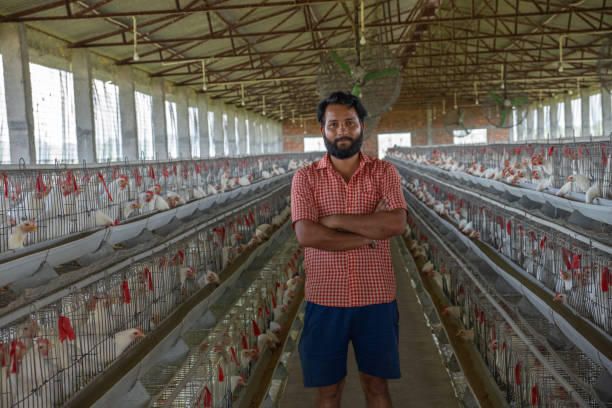 istock Farmer looking at camera in factory at poultry farm 1569924514