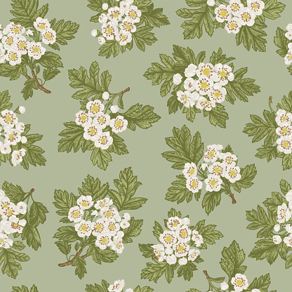 Floral pattern on a green background. Twigs of flowering hawthorn. White flowers. Vintage spring background. Garden plants