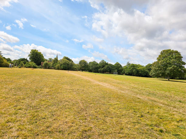 istock A grassy field with trees and a blue sky 1569941426