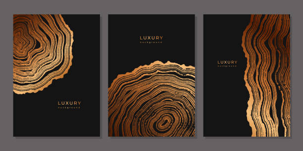 나무 질감을 가진 템플릿 세트 - bark backgrounds textured wood grain stock illustrations