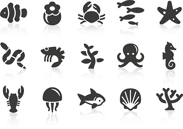 ilustraciones, imágenes clip art, dibujos animados e iconos de stock de iconos de la vida marina - coral snake