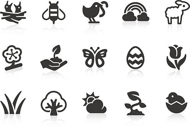 Spring icons Monochromatic spring related vector icons for your design and application. Raw style. Files included: vector EPS, JPG, PNG. single flower flower black blossom stock illustrations