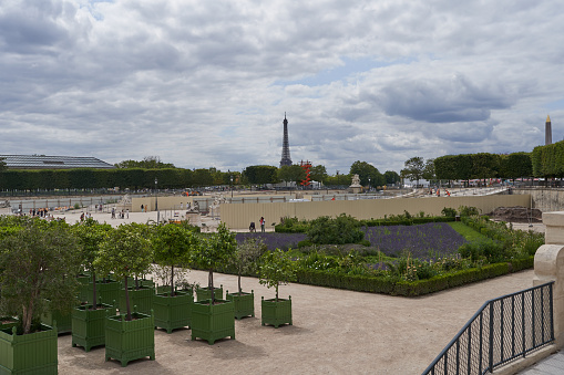 Paris, France - July 13, 2023 - the Tuileries Garden in Paris in the summertime. The Tuileries Garden is a public garden located between the Louvre and the Place de la Concorde in the 1st arrondissement of Paris.