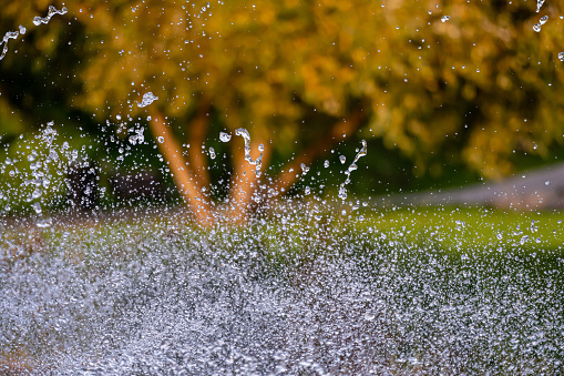 water splash with small drops in fountain, abstract natural background, selective focus, close-up