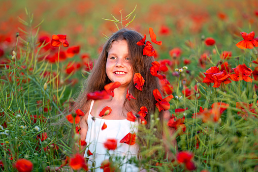 pretty little girl wearing white dress in summer blooming poppy field walking under evening sun