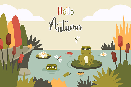 Autumn landscape. Nature background with frogs, foliage, reed, rocks, lotus, flying insects, wildlife. Cute toads siiting on leaf in pond. Cartoon character face. Clipart. Vector flat illustration