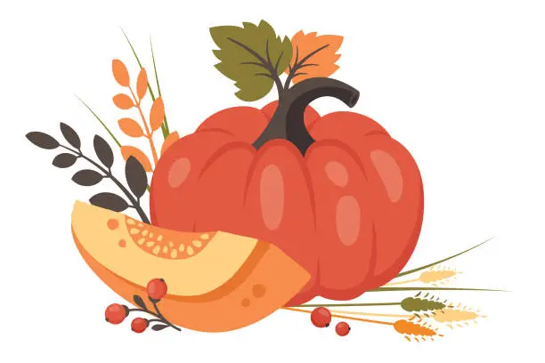 Vector illustration of Whole pumpkin and half with fall leaves, wheat, berries. Ripe harvest vegetable. Healthy food. Vector illustration for autumn design, good nutrition, agricultural harvest, Thanksgiving