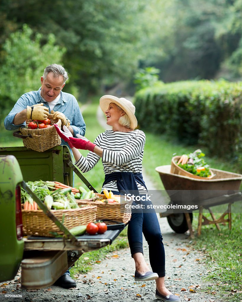 Mature Couple With Harvested Vegetables In Garden. Mature couple with baskets of harvested vegetables in the garden. Horizontal shot. Mature Couple Stock Photo