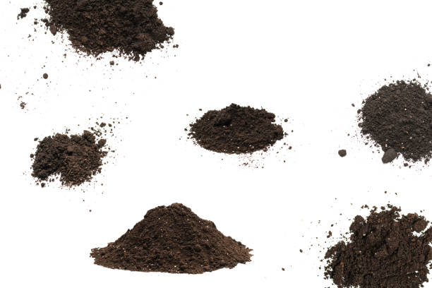istock Black land for plant isolated on white background. 1570072638