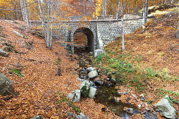 Stream passing under the bridge of  Santa Fe Valley in Montseny Natural Park, Catalonia (Spain)