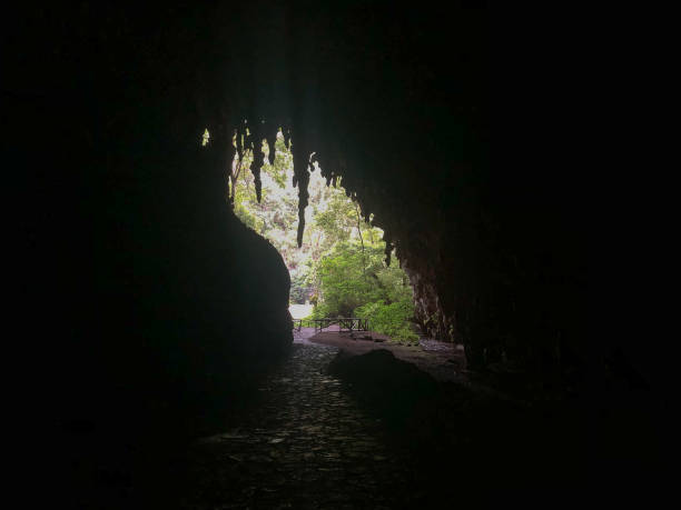 istock Cueva del guacharo, seen from outside and from inside. Caripe, Monagas, State 1570109878