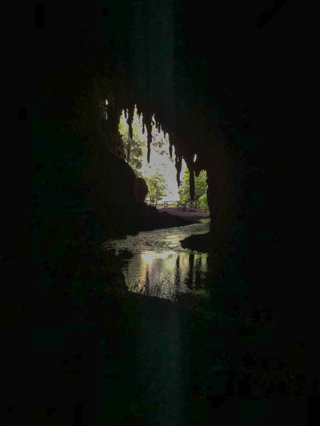 cueva del guacharo, 외부와 내부에서 본 것. 카리페, 모나가스, state - 동굴학 뉴스 사진 이미지