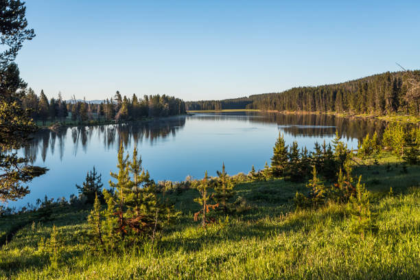 istock Beautiful calm water river landscape 1570115189