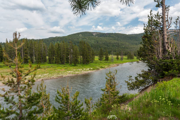 istock Yellowstone River in summer. View from above 1570115193
