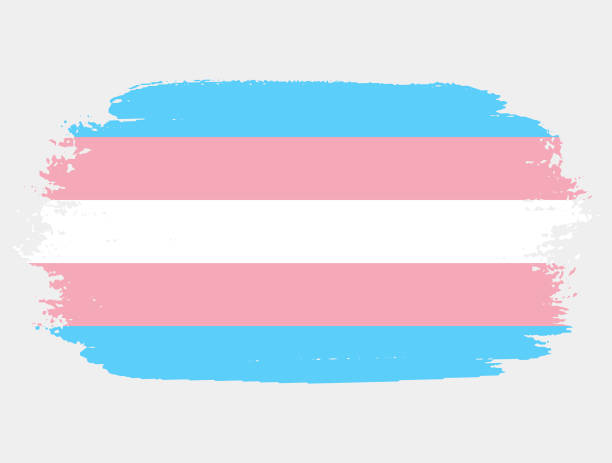 istock Transgender Flag painted with brush on white background. LGBT rights concept. Modern pride parades poster. Vector illustration 1570128988