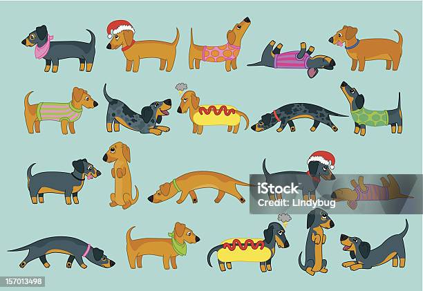 Vetores de Linda Vetor Dachshunds e mais imagens de Basset Alemão - Basset Alemão, Natal, Cão